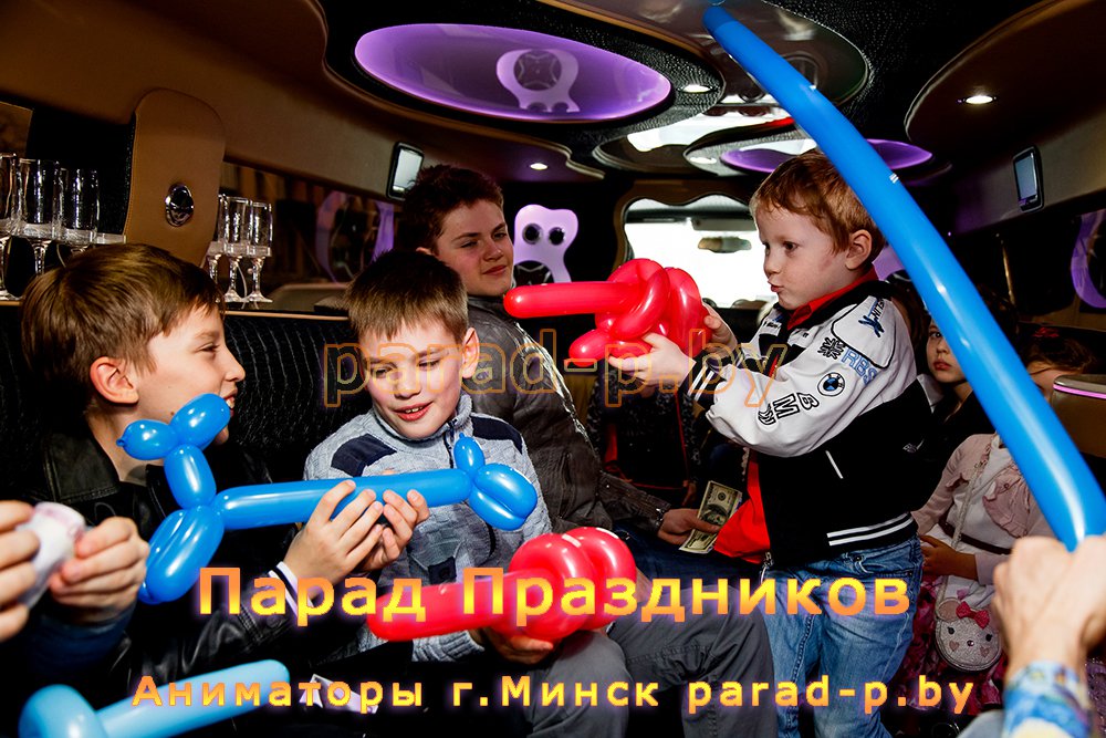 Аниматор в лимузине - 11